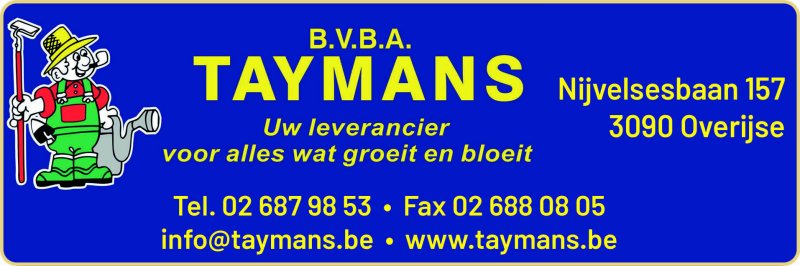 Taymans